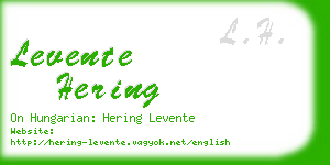levente hering business card
